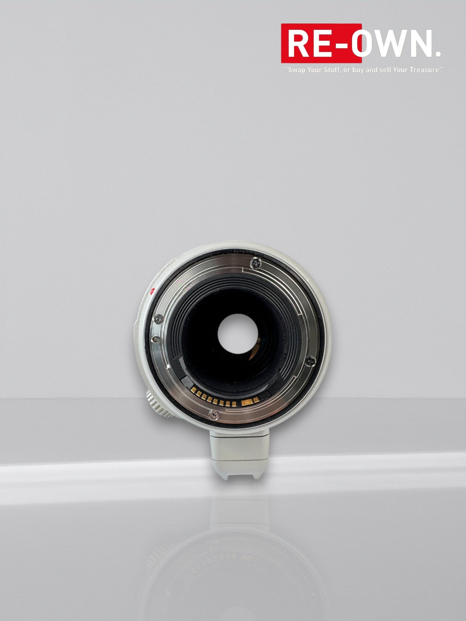 Canon EF 100-400mm f/4.5-5.6L IS II USM + Extender 1.4 II