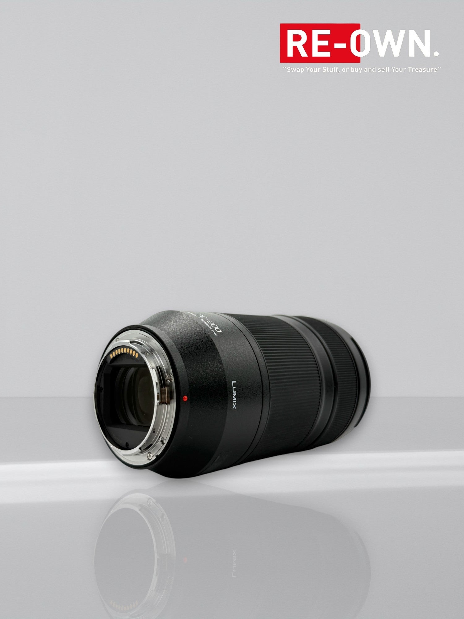 Panasonic Lumix S 70-300mm F/4.5-5.6 Macro OIS