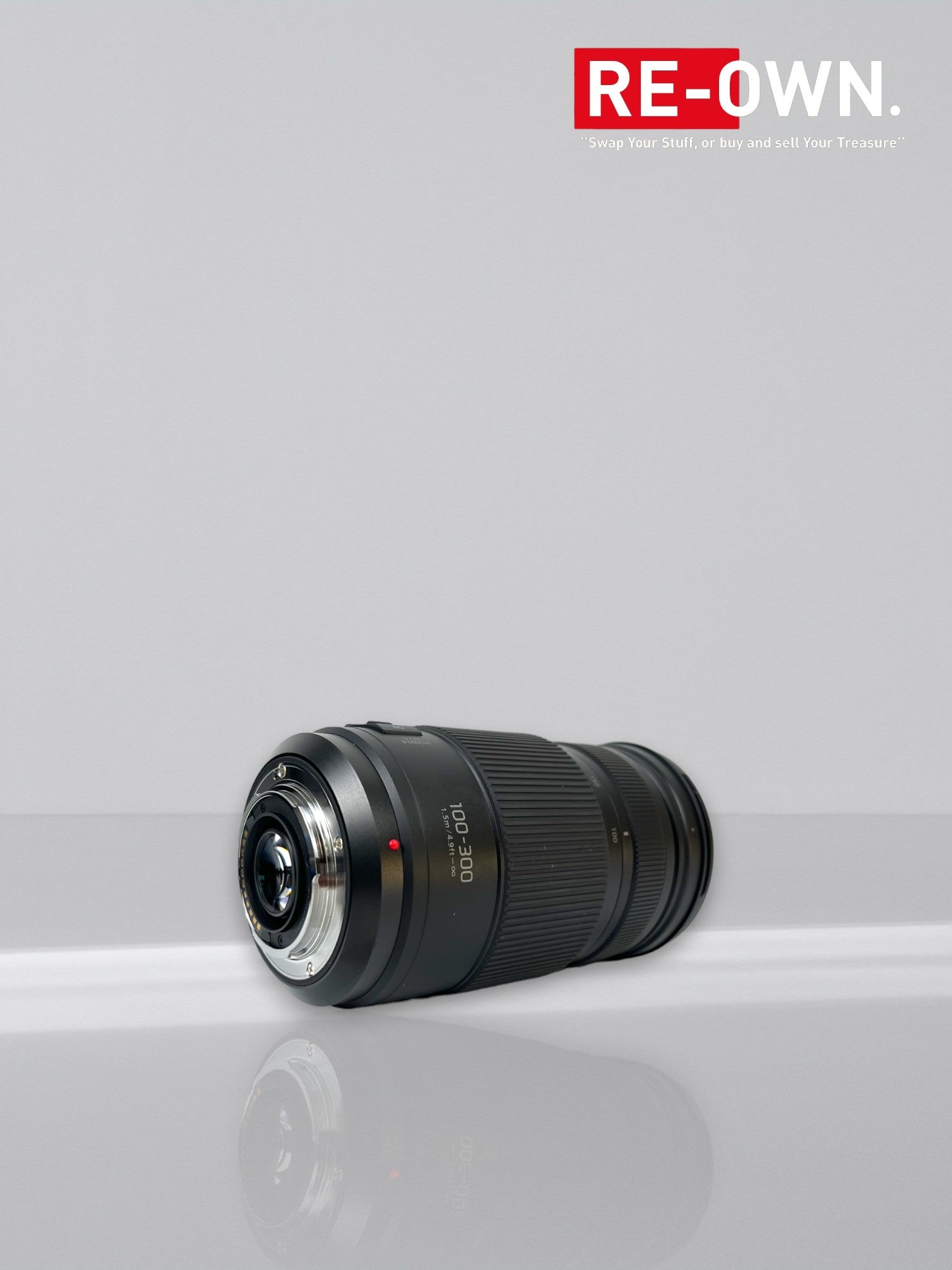 Panasonic Lumix G Vario 100-300mm F/4.0-5.6 mark II