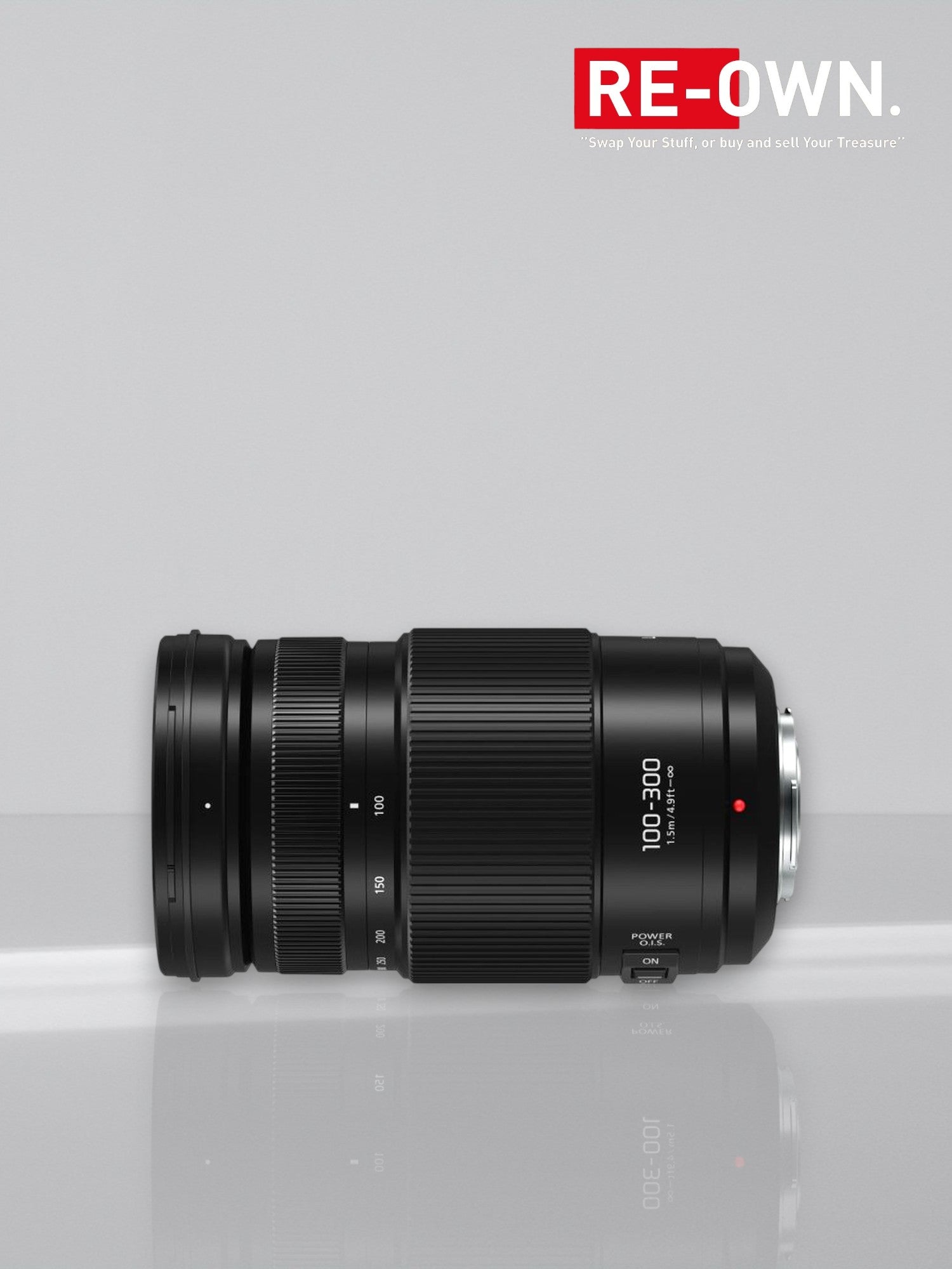 Panasonic Lumix G Vario 100-300mm F/4.0-5.6 mark II