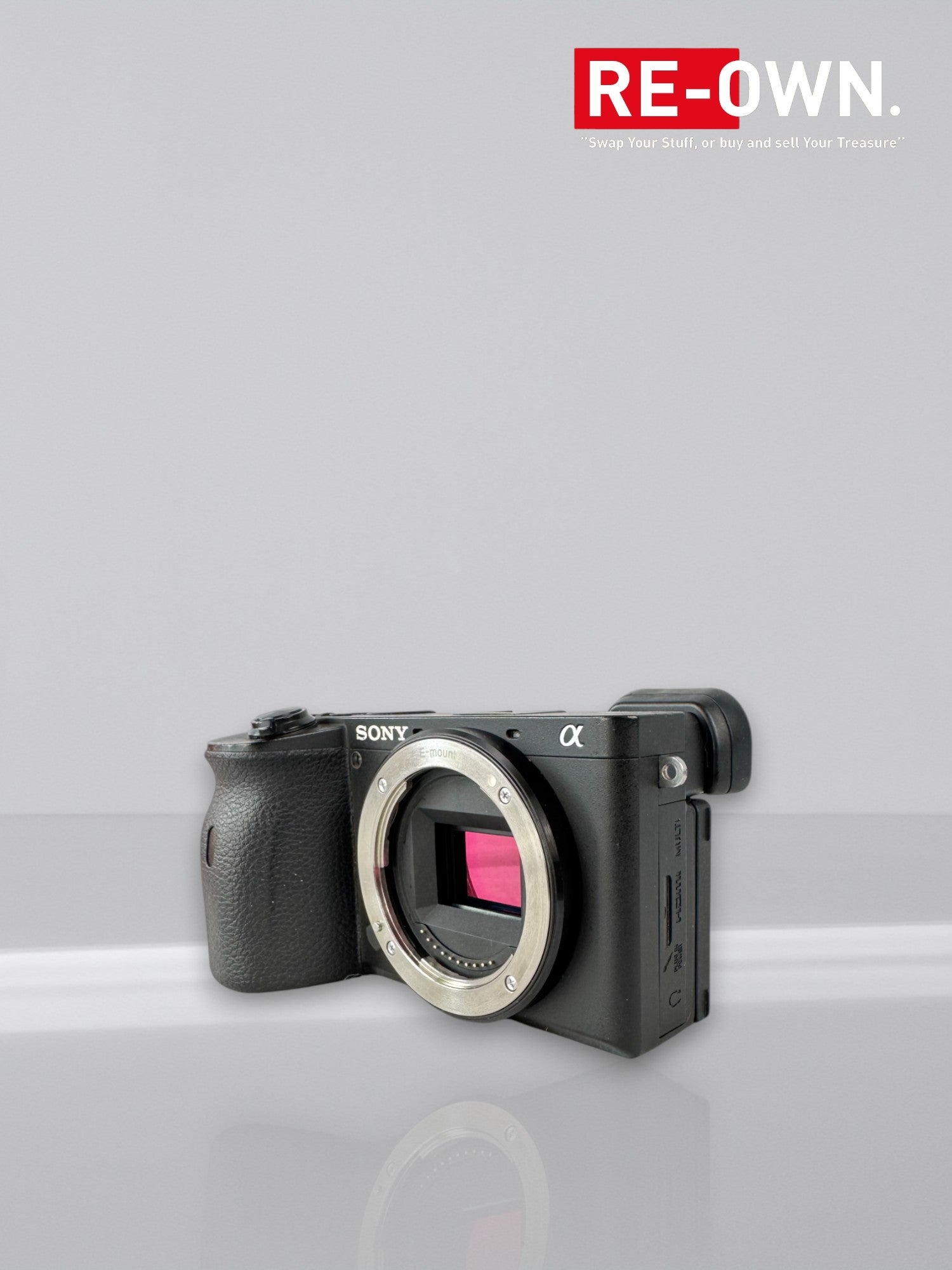 Sony A6600 body