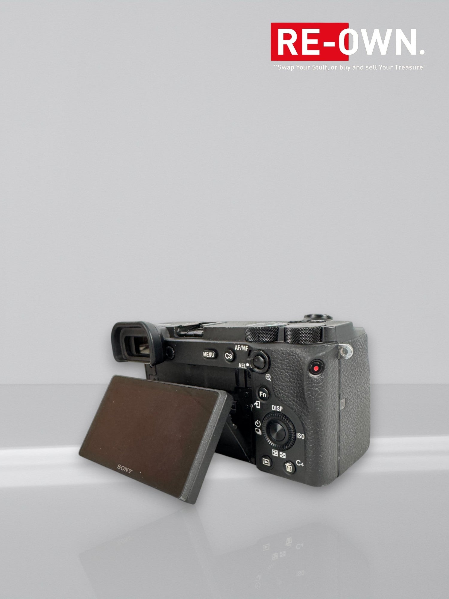 Sony A6600 body