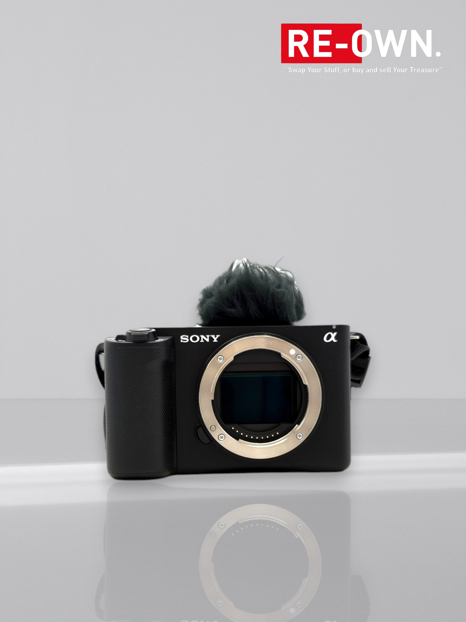 Sony ZV-E1